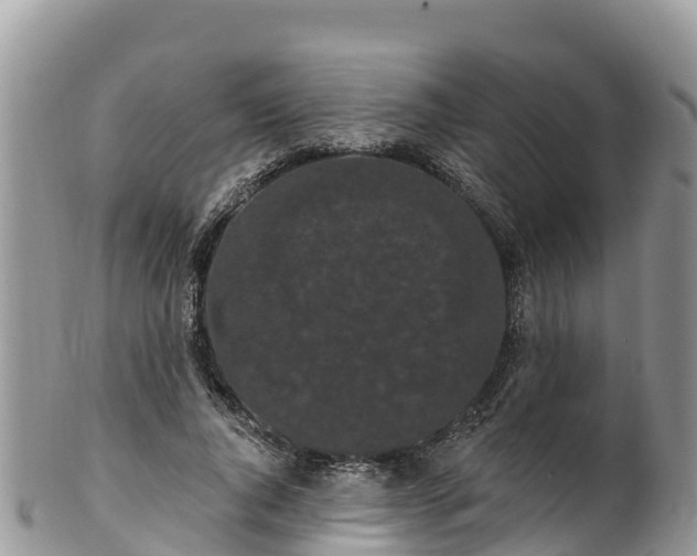 X0000102290736200808011512