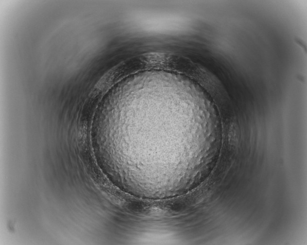 X0000102290737200808011512