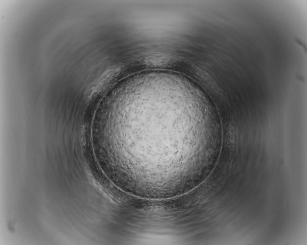 X0000102290738200808011512