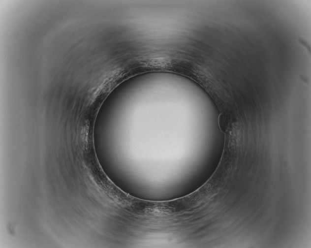 X0000102290739200808011512