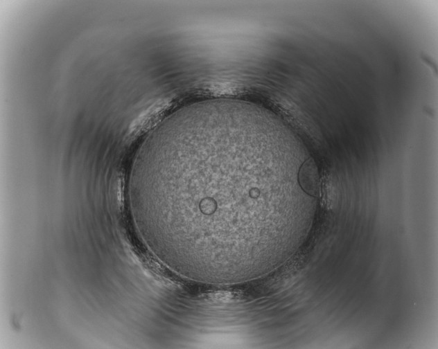 X0000102290740200808011512