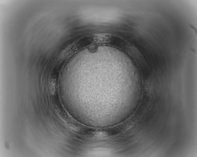 X0000102290741200808011512