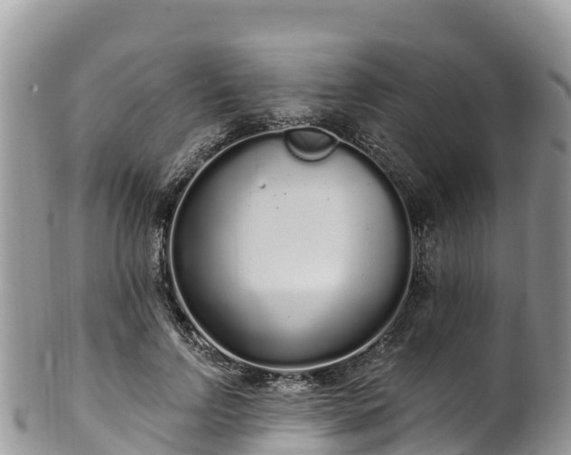 X0000102290742200808011512