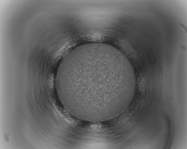 X0000102290744200808011512