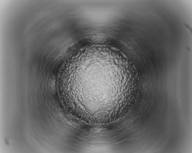 X0000102290745200808011512