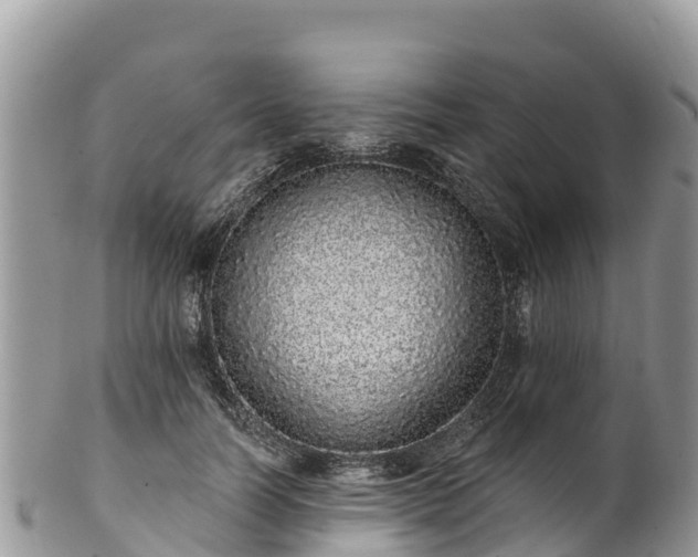 X0000102290746200808011512