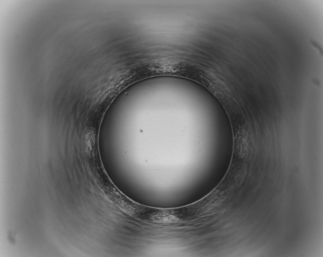 X0000102290747200808011513