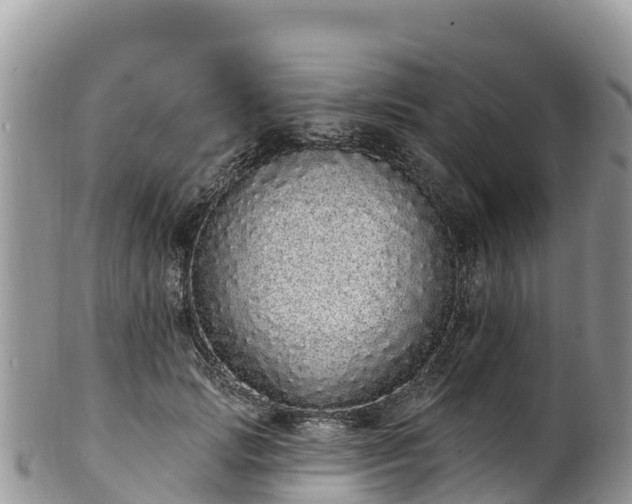 X0000102290749200808011513