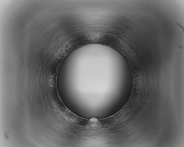 X0000102290750200808011513