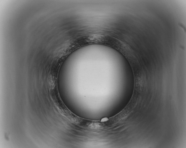 X0000102290751200808011513