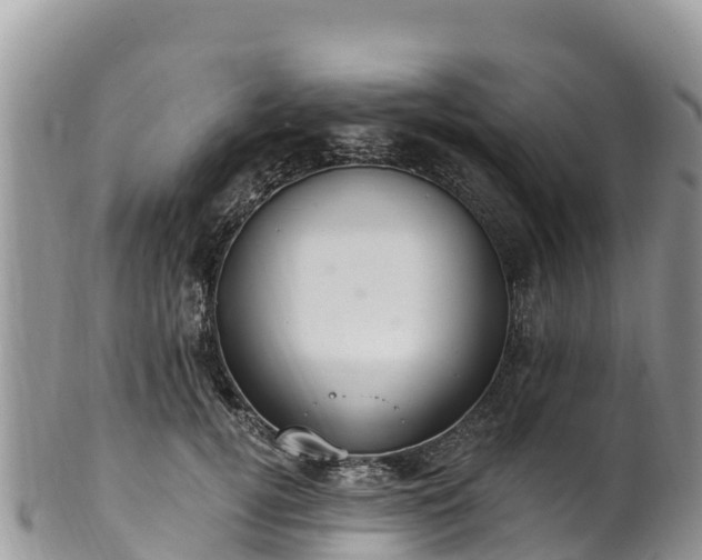 X0000102290752200808011513