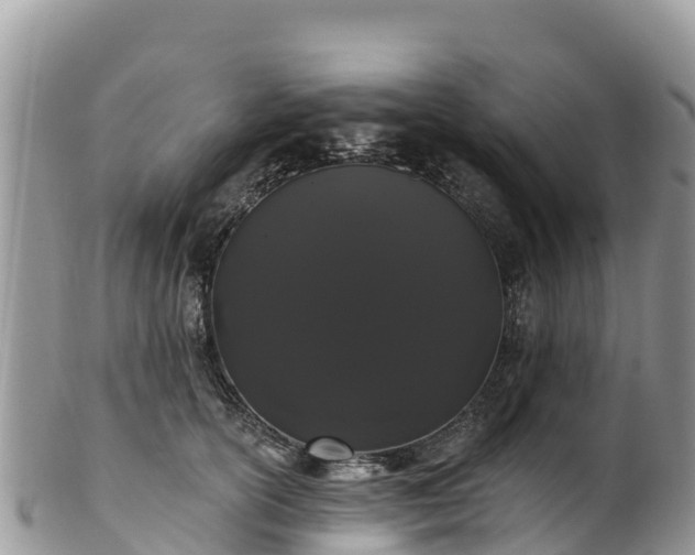 X0000102290754200808011513