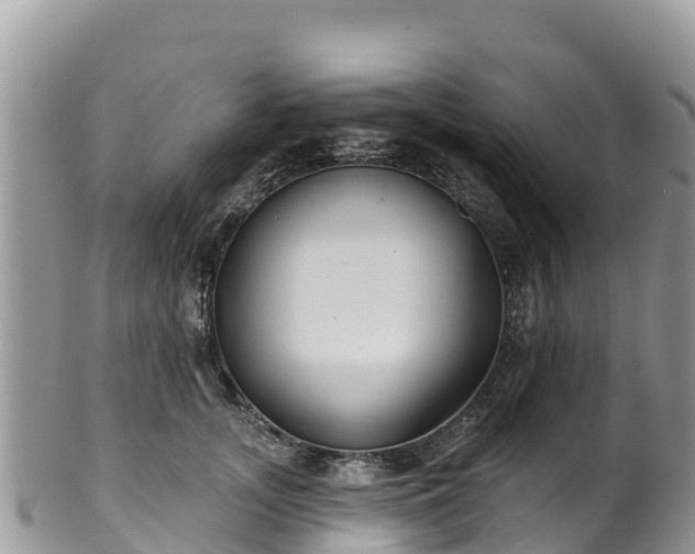 X0000102290755200808011513