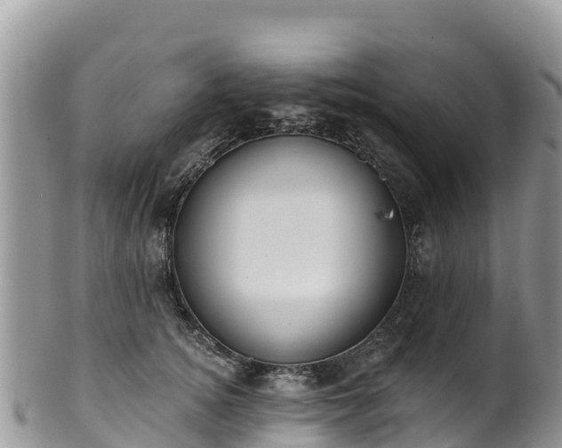 X0000102290756200808011513