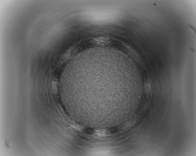 X0000102290757200808011513