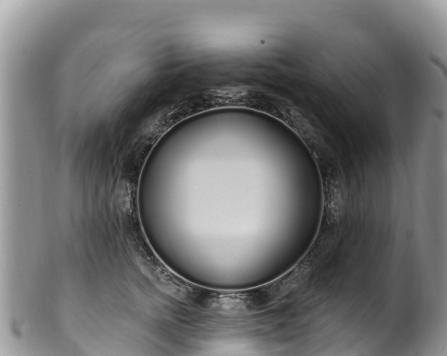 X0000102290758200808011513