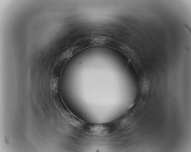 X0000102290759200808011513