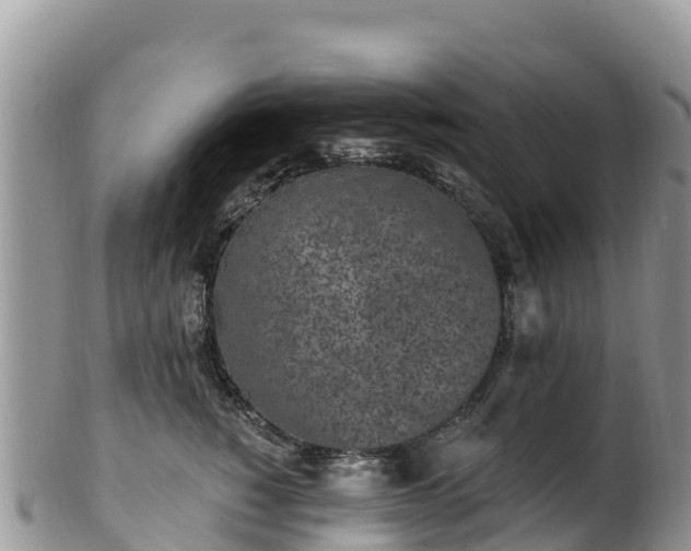 X0000102290760200808011513