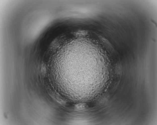 X0000102290761200808011513