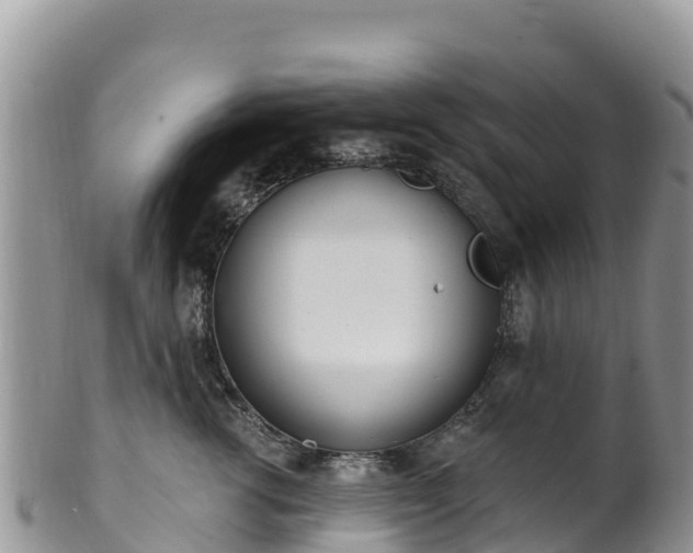 X0000102290762200808011513