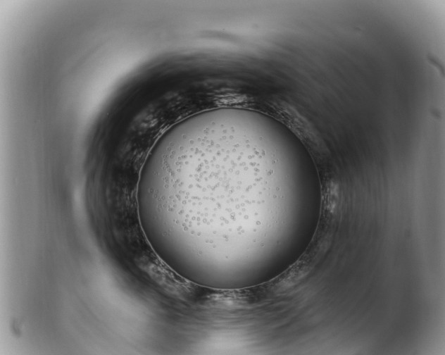 X0000102290763200808011513