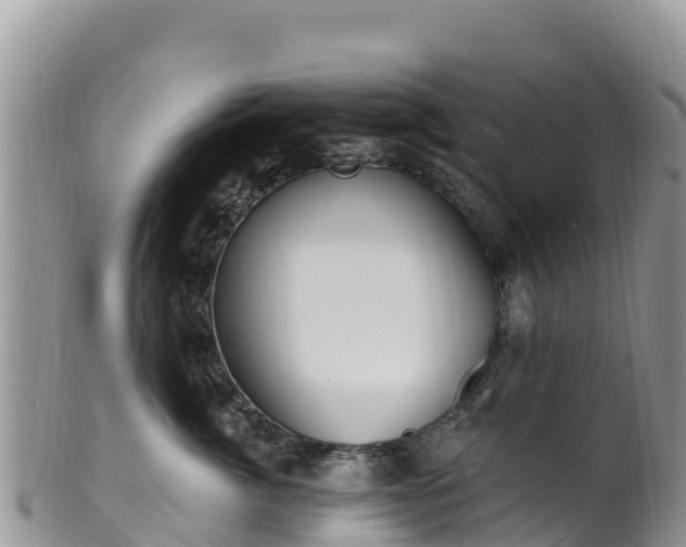 X0000102290764200808011513