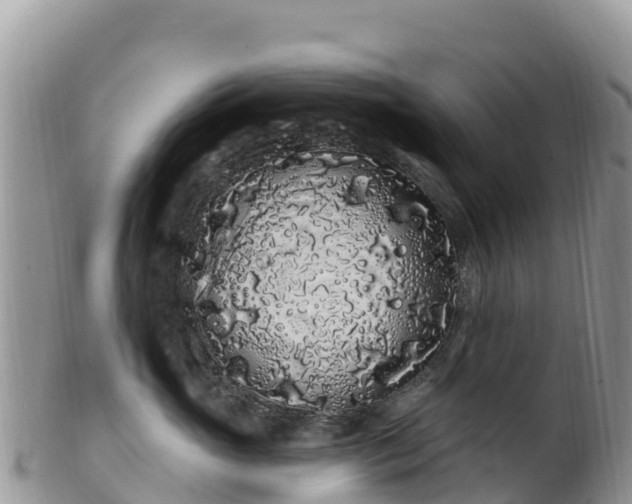 X0000102290765200808011513