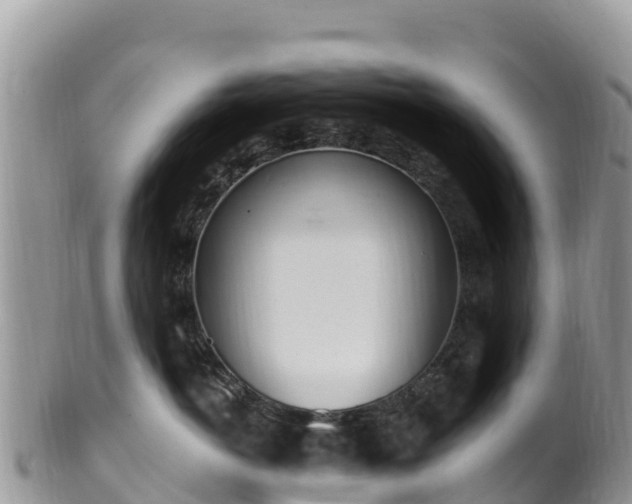 X0000102290766200808011513