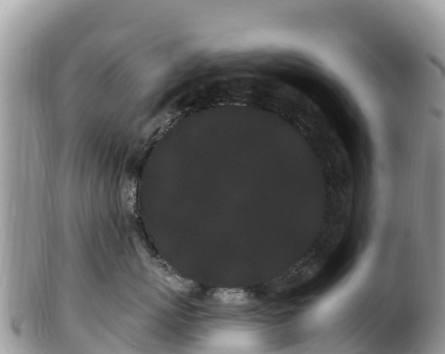 X0000102290767200808011513