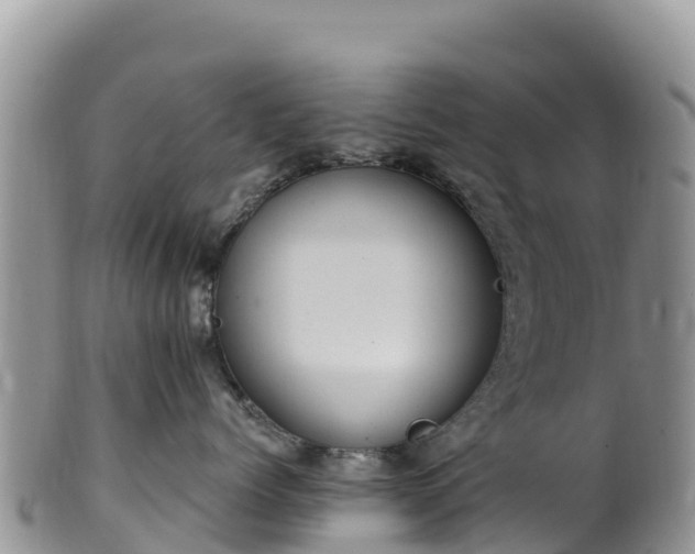 X0000102290768200808011513