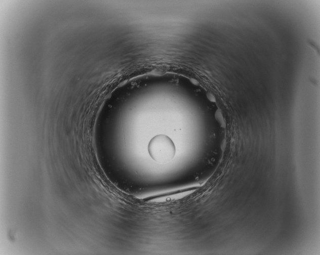 X0000102290769200808011512