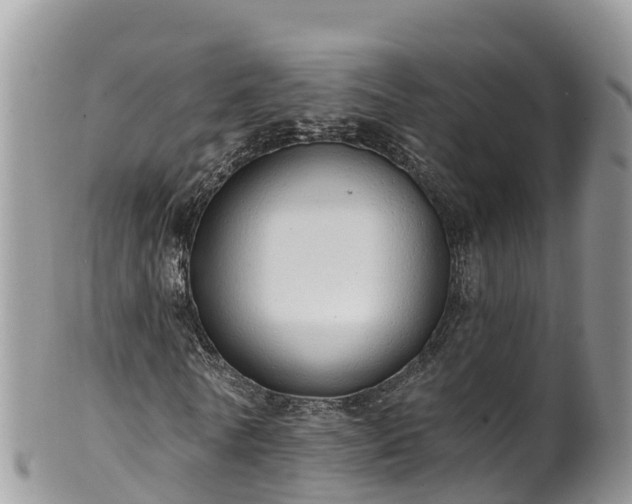 X0000102290770200808011512