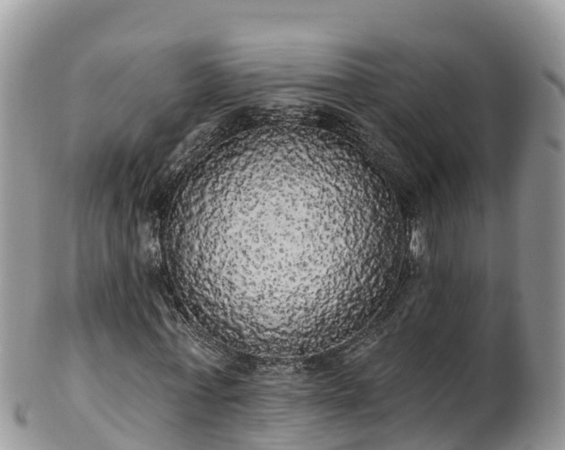 X0000102290771200808011512