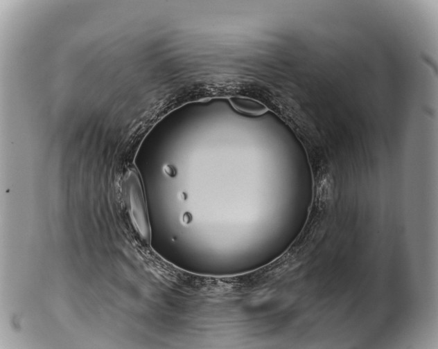 X0000102290772200808011512