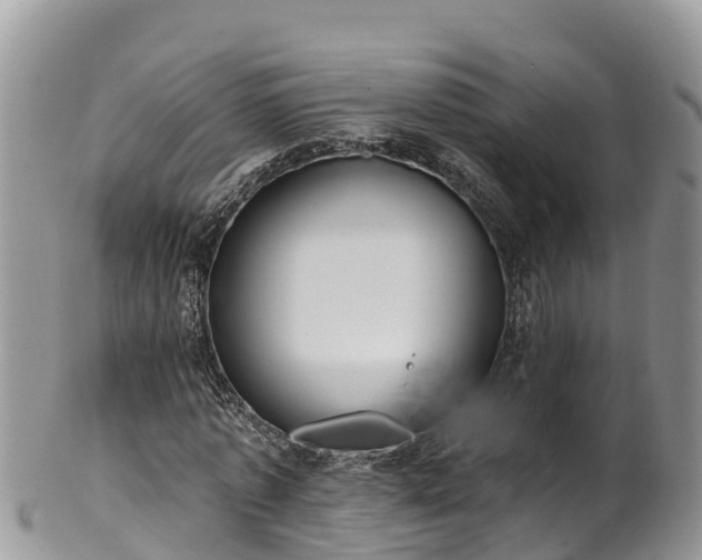 X0000102290773200808011512