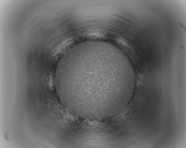 X0000102290774200808011512