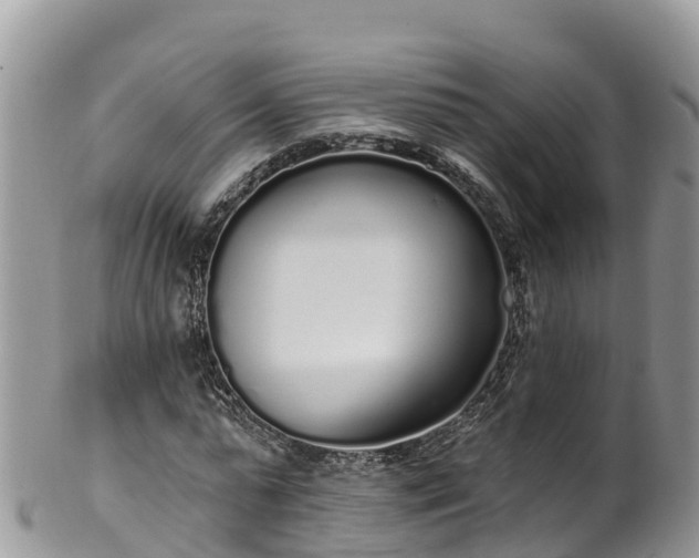 X0000102290775200808011512