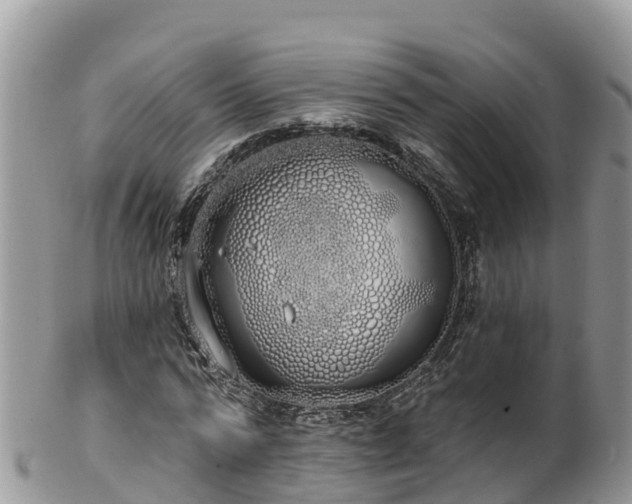 X0000102290776200808011512