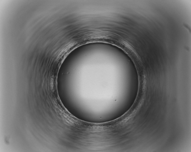 X0000102290777200808011512