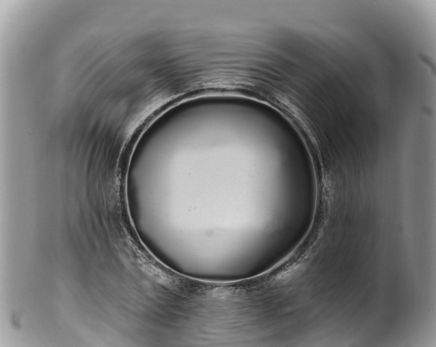 X0000102290779200808011512