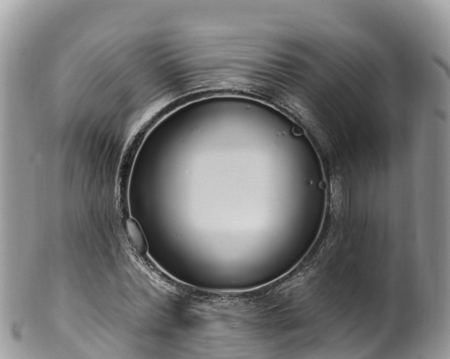 X0000102290780200808011512