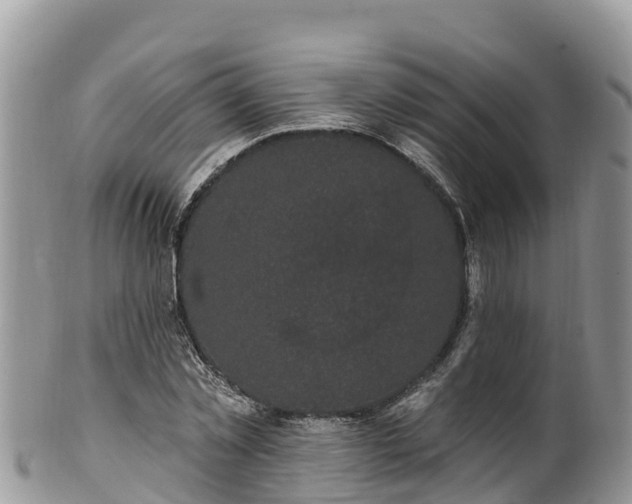 X0000102290781200808011512