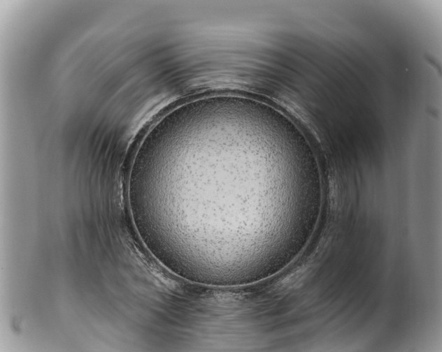 X0000102290782200808011512