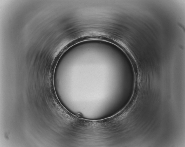 X0000102290783200808011512