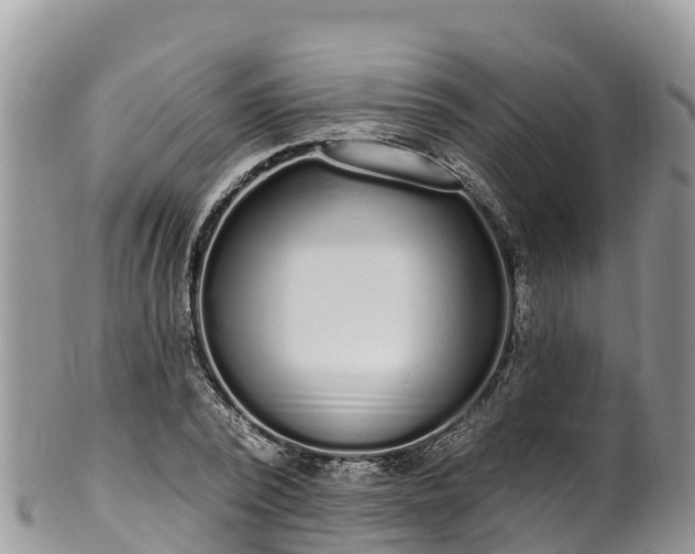 X0000102290784200808011512