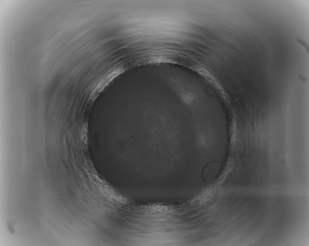 X0000102290785200808011512