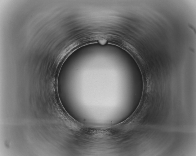 X0000102290786200808011512