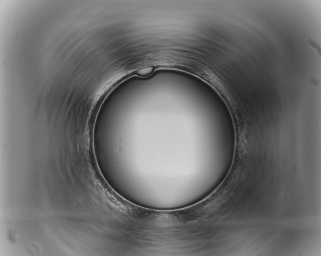 X0000102290787200808011512