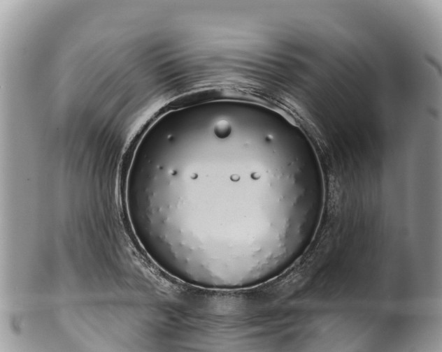 X0000102290788200808011512