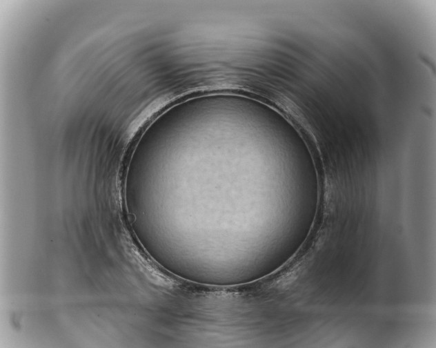 X0000102290789200808011512